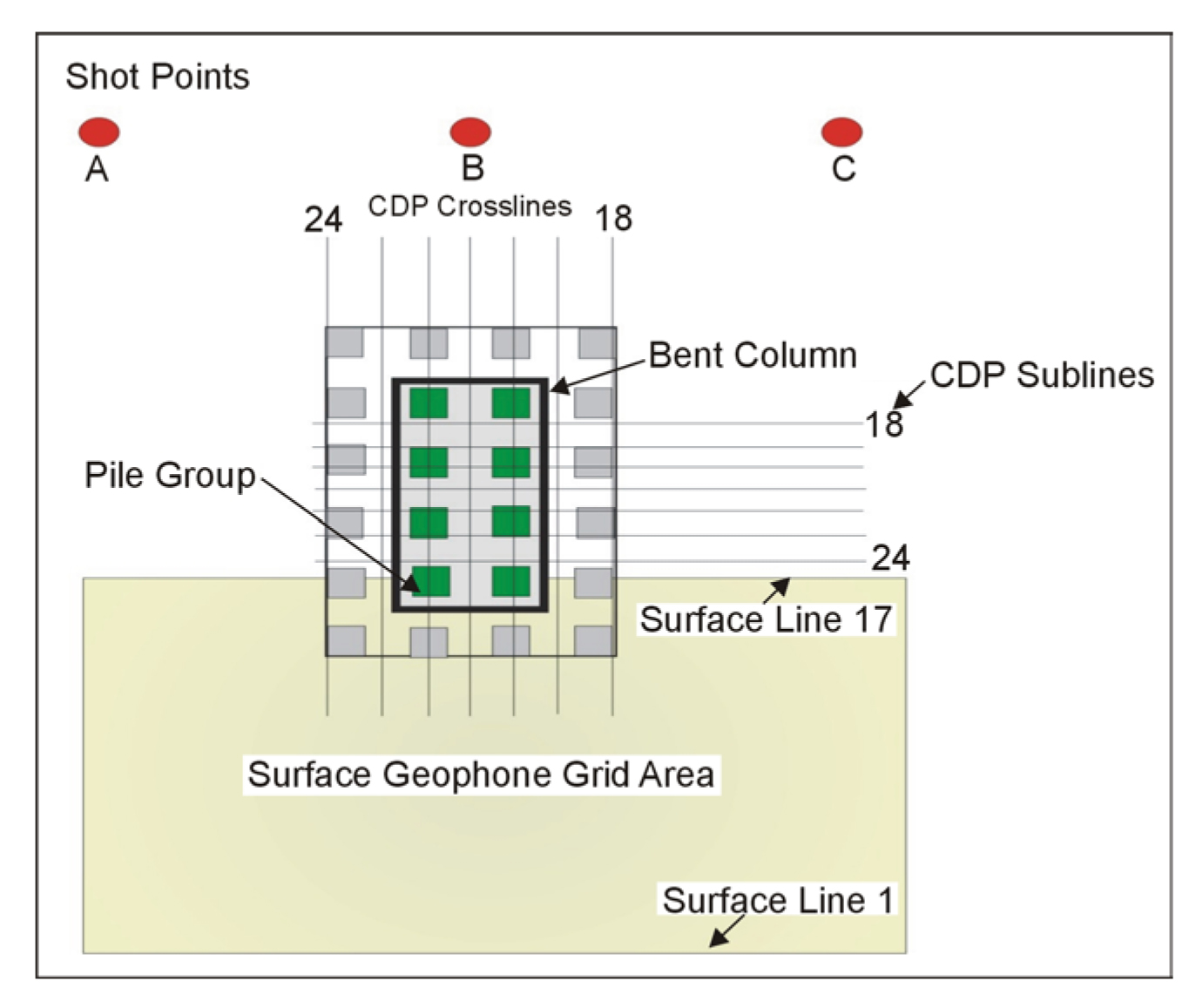 Shot and receiver layout for Seismic Rreflection survey (plan view).
